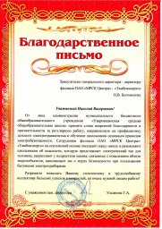 Николай Богомолов: Уберечь подрастающее поколение от возможных травм при обращении с электричеством 