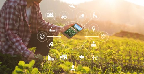 Более 500 аграриев и поставщиков Кубани и Адыгеи присоединились к цифровой экосистеме Своё от Россел