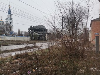В Воронеже ветхий квартал у Ротонды превратился в грязные джунгли