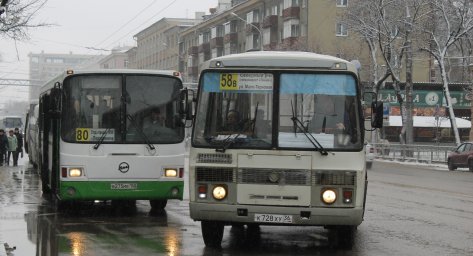 ​Теперь останавливаются: ОНФ помог жителям Воронежа дисциплинировать водителей на маршруте № 64