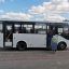 Воронежские общественники просят продлить маршрут школьного автобуса до села Староживотинное