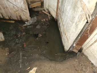 Подвалы нескольких домов в Воронеже хронически тонут в нечистотах