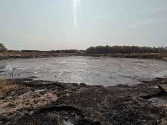 Воронежские активисты ОНФ просят власти перенести производство жирных кислот за пределы Репьёвки