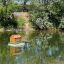 ​Сотрудники «Металл Профиль» построили плавучие домики для уток в парке Караганды