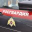 На Среднем Урале сотрудники Росгвардии задержали подозреваемого в сбыте поддельных денежных средств