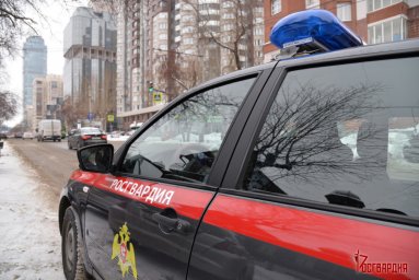 В Свердловской области сотрудники Росгвардии задержали нетрезвого водителя