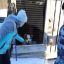 Росгвардейцы помогли волонтерам приюта для бездомных животных в Югре