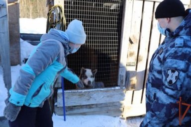 Росгвардейцы помогли волонтерам приюта для бездомных животных в Югре