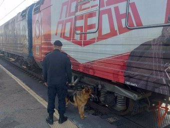 Росгвардия обеспечила безопасность пребывания «Поезда Победы» в Зауралье Росгвардия обеспечила безопасность пребывания «Поезда Победы» в Зауралье