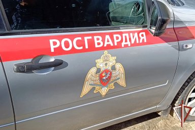 В Курганской области патруль Росгвардии задержал подозреваемого в краже В Курганской области патруль Росгвардии задержал подозреваемого в краже