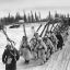 Тайна Раатской дороги: военнослужащие внутренних войск НКВД СССР на советско-финляндской войне
