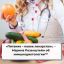 «Питание – новое лекарство», – Марина Розенштейн об иммунодиетологии™