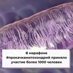 В марафоне #прокачкамитохондрий приняло участие более 1000 человек