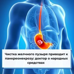 Чистка желчного пузыря приводит к панкреонекрозу: доктор о народных средствах