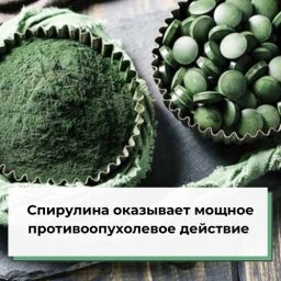 Спирулина оказывает мощное противоопухолевое действие Спирулина оказывает мощное противоопухолевое действие
