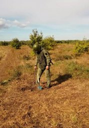 В Ульяновской области сотрудники ОМОН Росгвардии обследовали подозрительные предметы В Ульяновской области сотрудники ОМОН Росгвардии обследовали подозрительные предметы