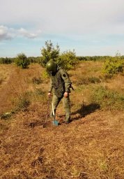 В Ульяновской области сотрудники ОМОН Росгвардии обследовали подозрительные предметы