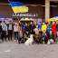 Эстонское НКО «Слава Украине» заподозрило украинских партнеров в хищении средств