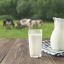 Объем производства молока в Красноярском крае увеличится на 95 тыс. тонн в год