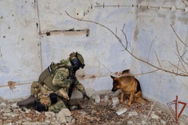 Росгвардейцы обнаружили схрон с самодельными взрывными устройствами и боеприпасами НАТО в ЛНР